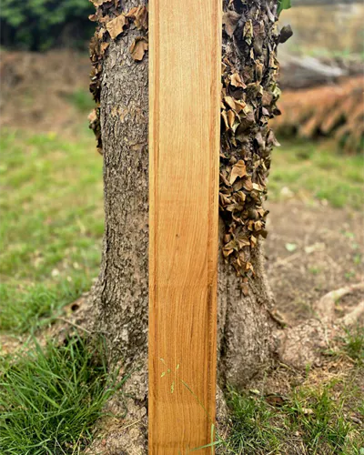 Planche à tapas XXL en chêne massif posée debout contre un tronc d’arbre